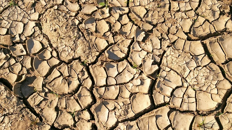 تصویر عنوان سوم